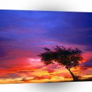Sunrise Palmdale California A1 XLarge Canvas