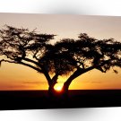 Sunrise Safari Africa A1 XLarge Canvas