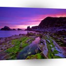 Sunrise Sheer Purple A1 XLarge Canvas