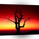 Sunrise Shenandoah A1 XLarge Canvas