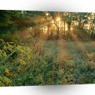 Sunrise Sunbeams Nashville A1 XLarge Canvas