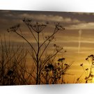 Sunrise Sunset Over Stockholm A1 XLarge Canvas
