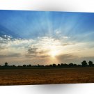 Sunrise Wheatfield Morning A1 XLarge Canvas