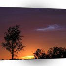 Sunset African Delight A1 XLarge Canvas