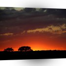 Sunset African Nature A1 XLarge Canvas