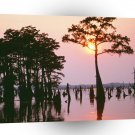 Sunset Atchafalaya Bayou Louisiana A1 XLarge Canvas
