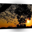 Sunset Beauty Beyond A1 XLarge Canvas