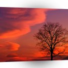 Sunset Crimson Twilight Kentucky A1 XLarge Canvas