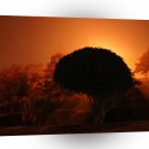 Sunset Depths Of Dusk A1 XLarge Canvas