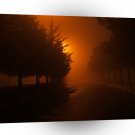 Sunset Dew Drop A1 XLarge Canvas