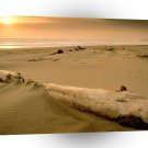 Sunset Driftwood Nehalem Bay A1 XLarge Canvas