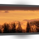 Sunset Dusky Sky Over Trees A1 XLarge Canvas