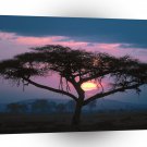Sunset East African A1 XLarge Canvas