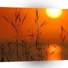Sunset Evening Glow A1 XLarge Canvas