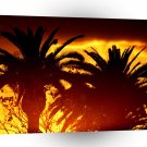 Sunset Fiery Tropical A1 XLarge Canvas