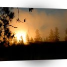 Sunset Forest Fire A1 XLarge Canvas