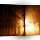 Sunset Ghost Fog A1 XLarge Canvas