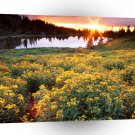 Sunset Gold King Basin San Juan Colorado A1 XLarge Canvas