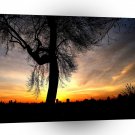 Sunset Goodnight Kiss Tree A1 XLarge Canvas