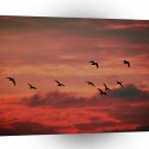 Sunset Hibernate A1 XLarge Canvas