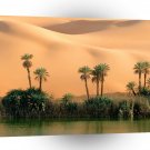 Sunset Libyan Oasis A1 XLarge Canvas