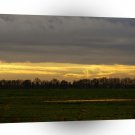 Sunset Mellow Yellow A1 XLarge Canvas