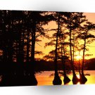 Sunset On Reelfoot Lake Tennessee A1 XLarge Canvas
