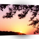 Sunset Quiet Close Petit Jean Arkansas A1 XLarge Canvas