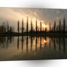 Sunset Reflected Trees A1 XLarge Canvas