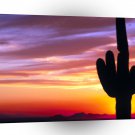 Sunset Saguaro Tonto Forest A1 XLarge Canvas