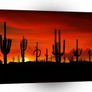 Sunset Saguaros Sonoran Desert Arizona A1 XLarge Canvas