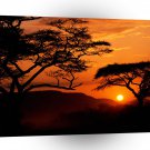 Sunset Serengeti Tanzania A1 XLarge Canvas