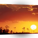 Sunset Setting Swampland Everglades Florida A1 XLarge Canvas