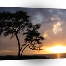 Sunset Sinking A1 XLarge Canvas