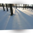 Sunset Snow Of The Day A1 XLarge Canvas
