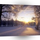 Sunset Snowy Trees A1 XLarge Canvas