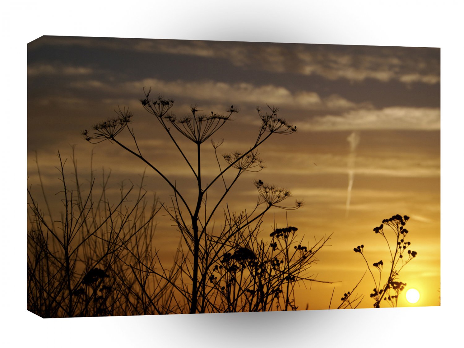 Sunset Summers Nature Glow A1 XLarge Canvas
