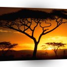 Sunset Tanzanian A1 XLarge Canvas