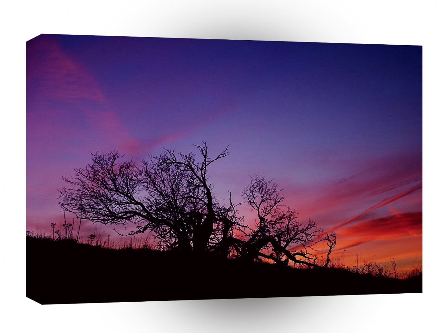 Sunset Tee Tree A1 XLarge Canvas