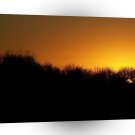 Sunset The Brilliant Sun A1 XLarge Canvas