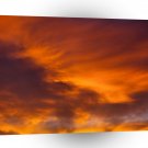 Sunset Tigger Sky A1 XLarge Canvas
