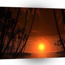 Sunset Tropical Cancer A1 XLarge Canvas