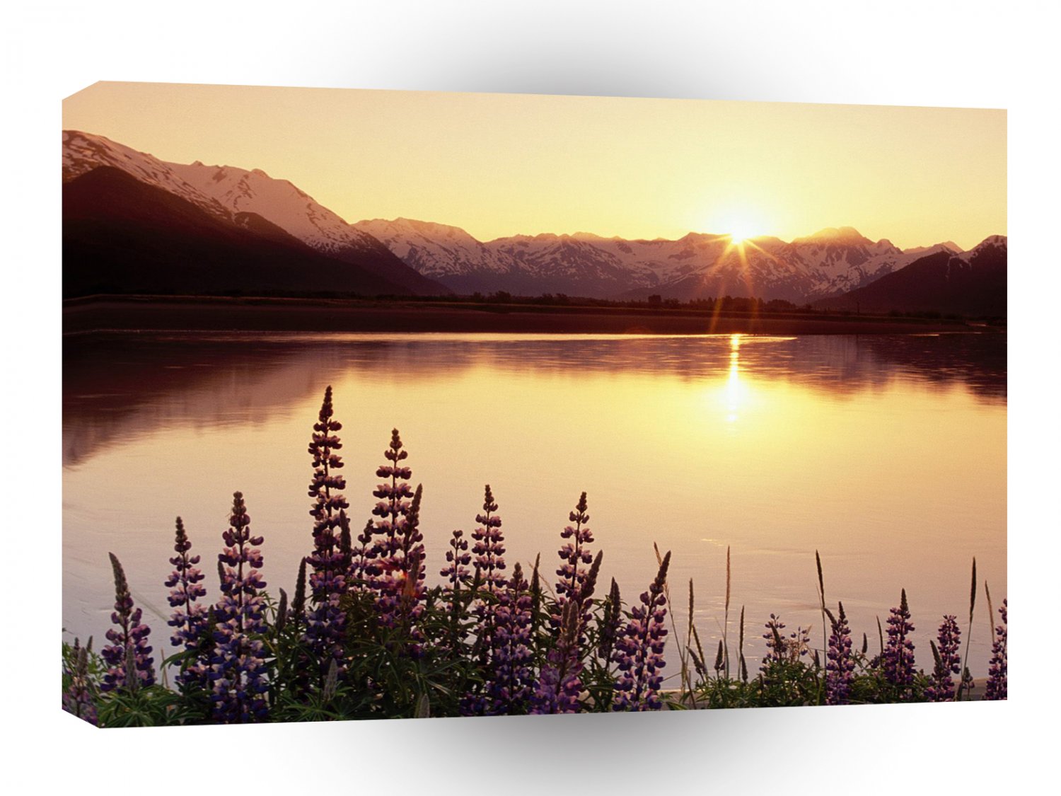 Sunset Turnagain Arm Chugachalaska A1 XLarge Canvas