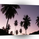 Sunset Twilight Palms A1 XLarge Canvas
