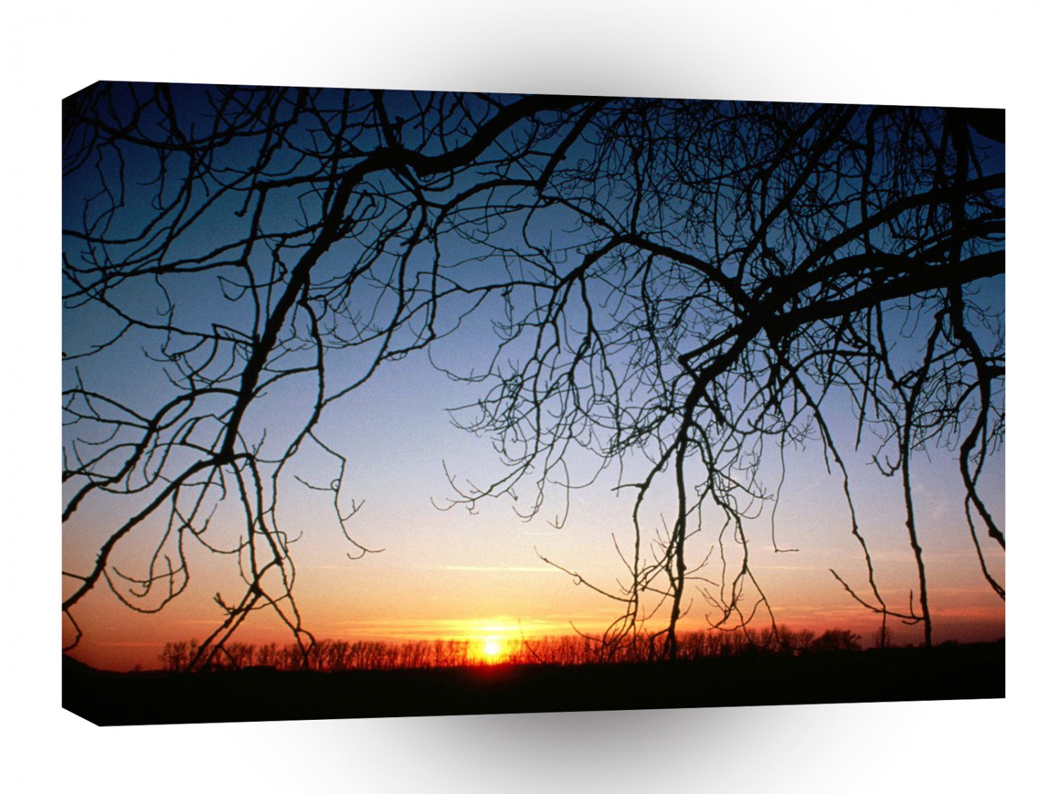 Sunset Winter A1 XLarge Canvas