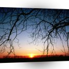 Sunset Winter A1 XLarge Canvas
