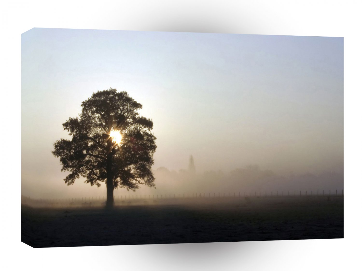 Tree Airfield Shadows A1 XLarge Canvas