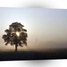 Tree Airfield Shadows A1 XLarge Canvas
