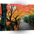 Tree Autumn Colors Japan A1 XLarge Canvas