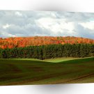 Tree Autumn Fields A1 XLarge Canvas